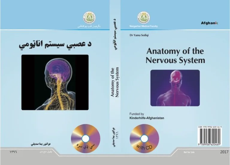 Anatomy of the Nervous system- Dr Yama Sediqi