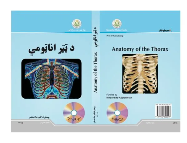 Anatomy of the Thorax-Dr Yama Sediqi