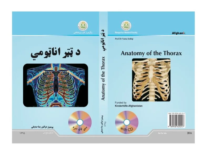 Anatomy of the Thorax-Dr Yama Sediqi