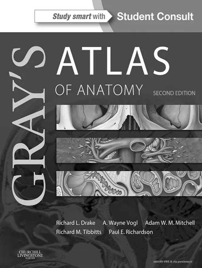 Gray's Anatomy for Students 3rd Edition