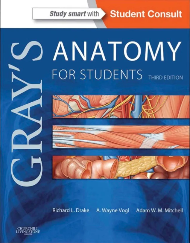 Grays Anatomy for Students (3rd edition) (Richard Drake, A. Wayne Vogl (Visit Libtoon.com)