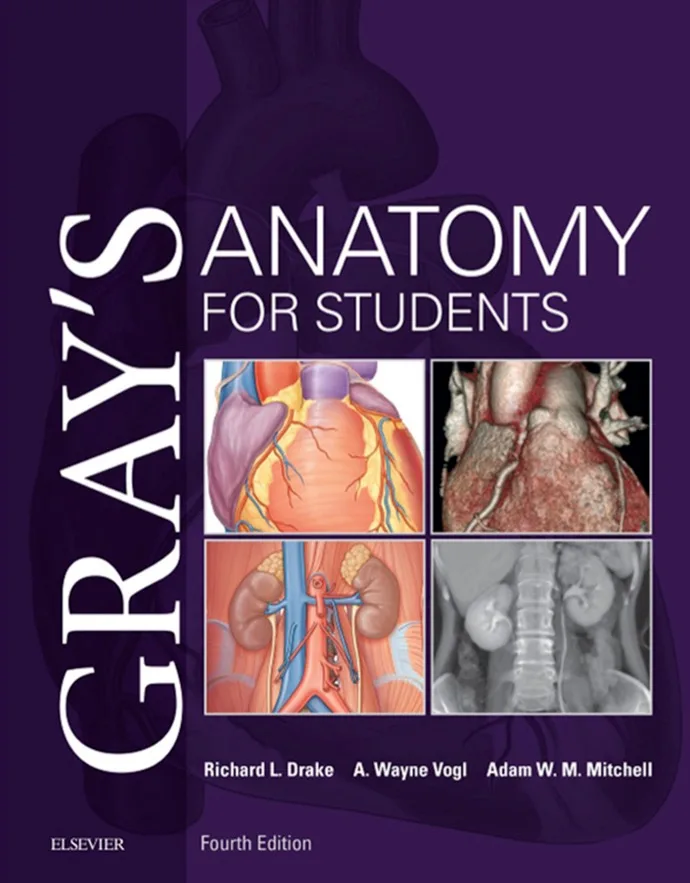 Gray’s Anatomy for Students 4th(Visit Libtoon.com)