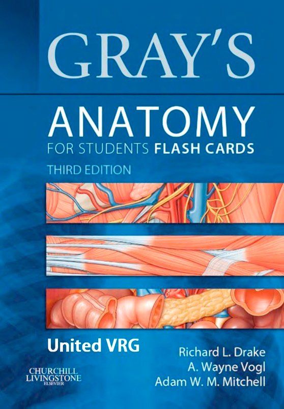 Gray’s Anatomy for Students. Flash Cards (Visit Libtoon.com)