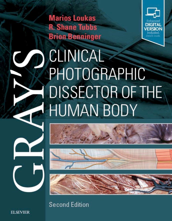 Gray's clinical photographic dissector of the human body (Visit Libtoon.com)