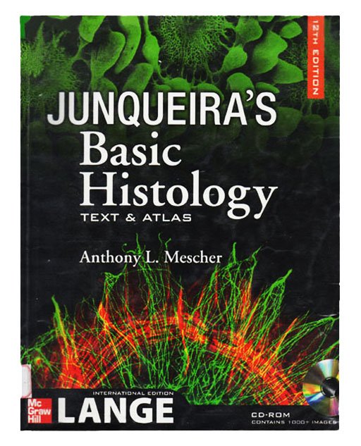 Junqueira's Basic Histology Text & Atlas 12edition