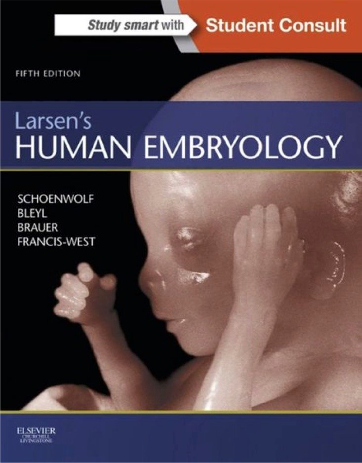 Larsens Human Embryology 5th edition