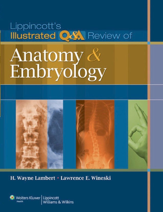 Lippincotts Illustrated QA Review of Anatomy and Embryology 1st Ed