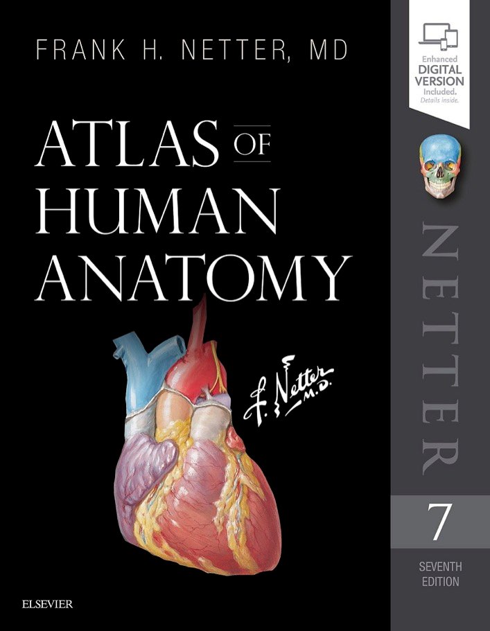 Netter's Atlas of Human Anatomy 7th ed 2019