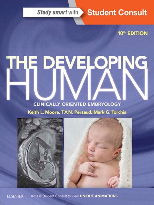 The Developing Human Clinically Oriented Embryology, 10th edition