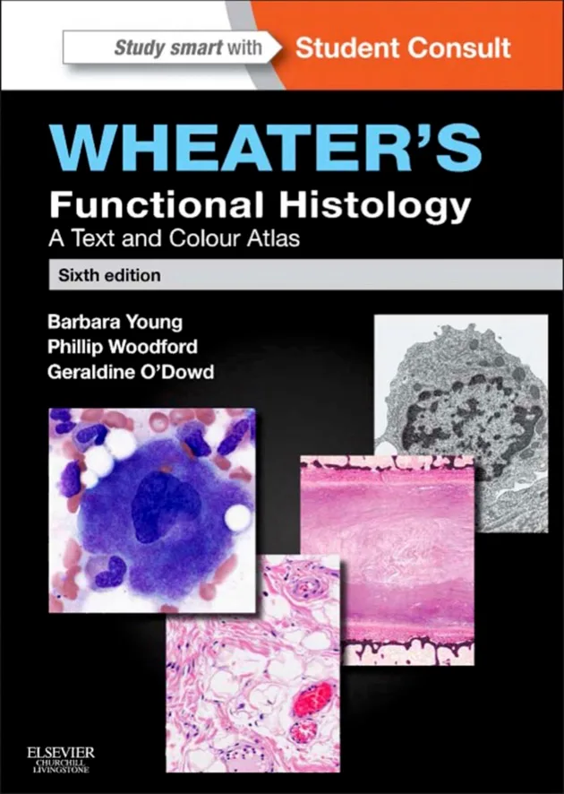 Wheaters Functional Histology A Text and Colour Atlas