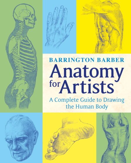 Anatomy for Artists